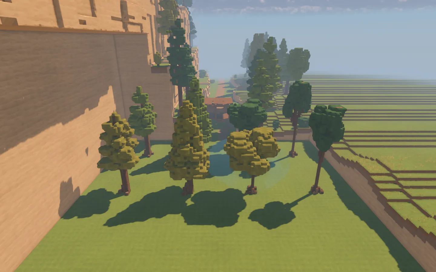 A comparison grove with different pine, fir, oak and birch tree shapes beside the forest trail.